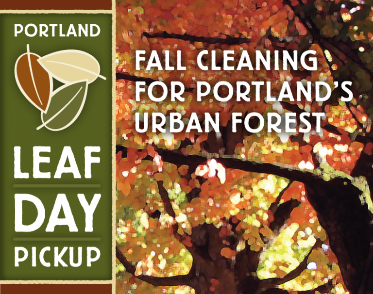 Portland Leaf Day Campaign, by Gyroscope Creative
