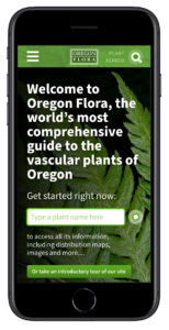 Oregon Flora home - mobile (Matt Giraud, Creative Director, Gyroscope Creative)