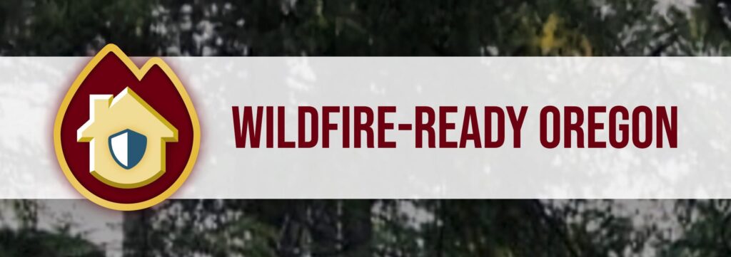Wildfire-Ready Oregon: branding (Matt Giraud, Creative Director, Developer, Gyroscope Creative)